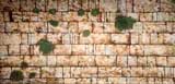 Religious Backdrops