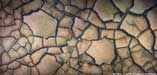 Elements Backdrops