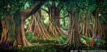 Forest Backdrops