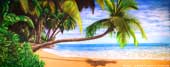 Beach and Island Backdrops