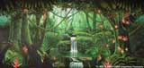 Tropical Jungle Backdrops
