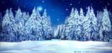 Winter and Seasons Backdrops